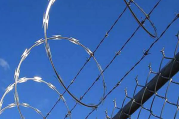 Barbed Wire Fence Barbed Wire Fence