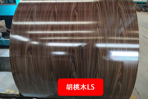 Color Coated Steel Coil